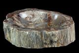 Polished Madagascar Petrified Wood Dish - Madagascar #98294-1